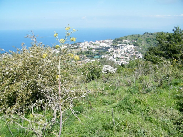 intersoc amalfi