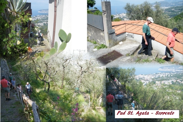 intersoc amalfi