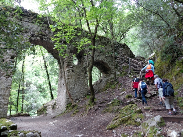 intersoc amalfi