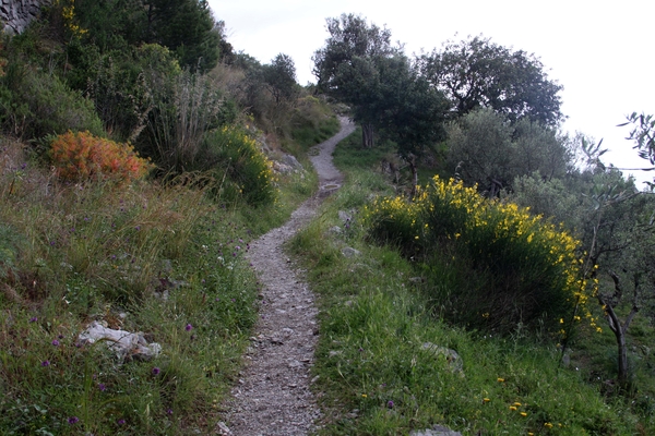 intersoc amalfi