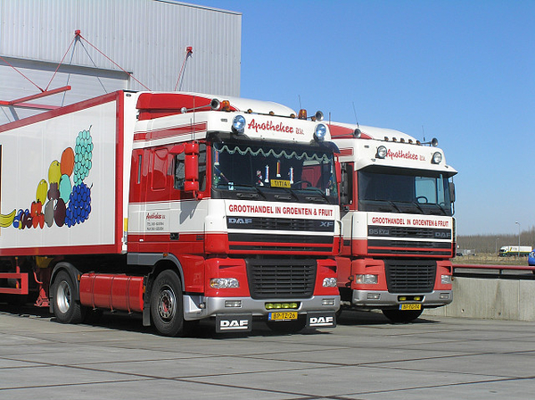 2 X Daf