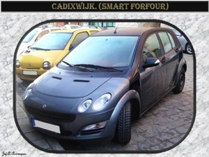 Cadixwijk. (Smart forfour)