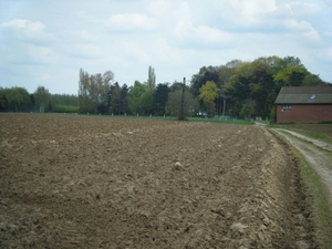 DSCF3531
