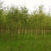 P7270006