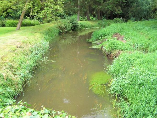 P7290016