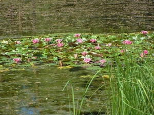 P8170008
