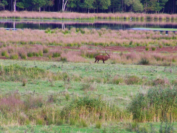 PA090021