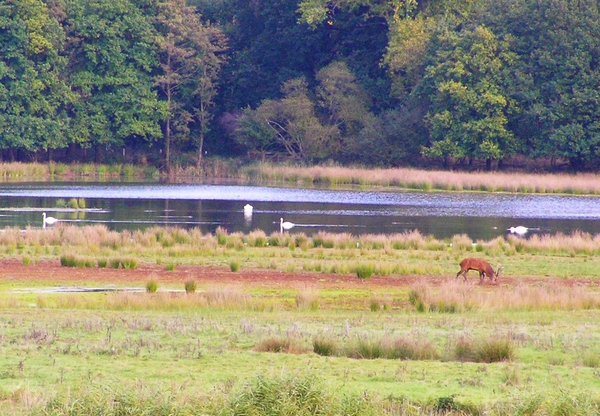 PA090034