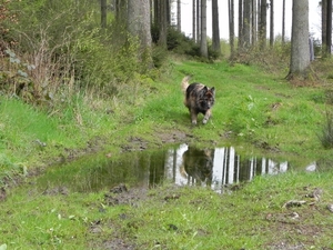 mooie weerspiegeling