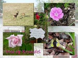Jo Brondel project 36.1