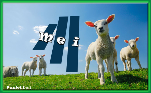 Paulette 1 project 36.2