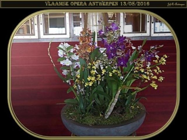 Vlaamse Opera Antwerpen 13-05-2016.