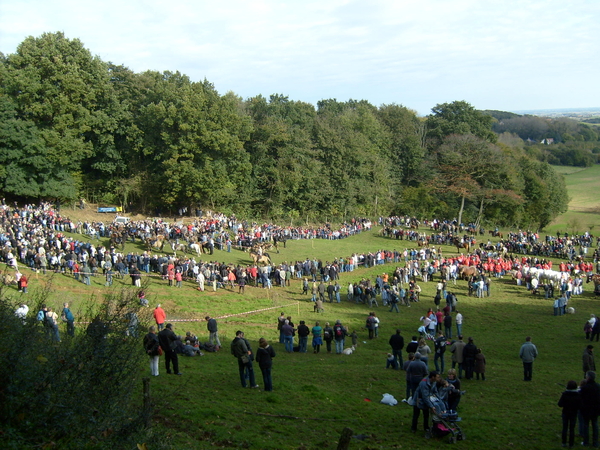 busreis 10-2008 godewaersvelde 011