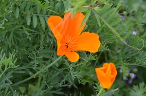 048