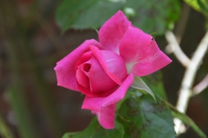 080