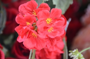 017