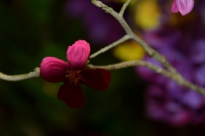 046