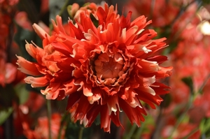 055
