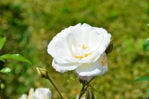 044