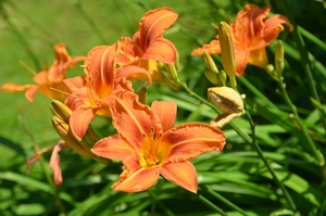 045