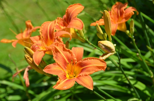 045