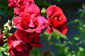 049