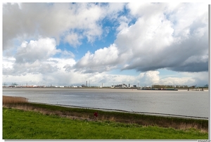 NEF_3707 - zicht op de haven van Antwerpen