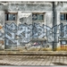 NEF_3756