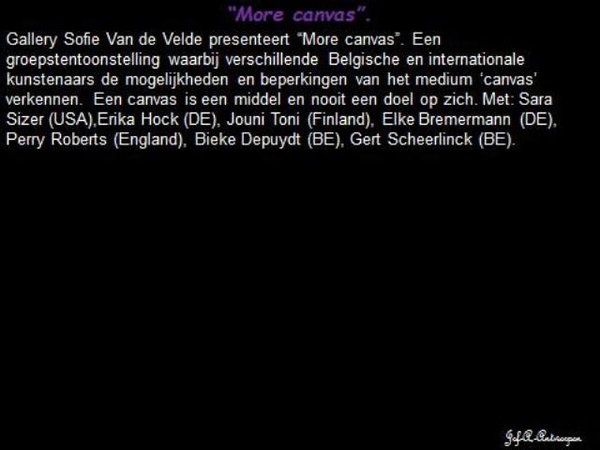 Antwerp Art Weekend, Galerie Sofie Van De Velde, More canvas