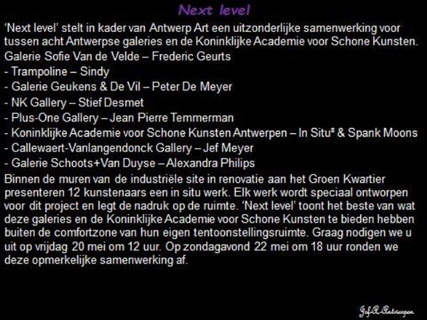 Antwerp Art Weekend, Next Level,