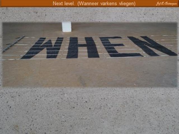Next level. (Wanneer varkens vliegen)
