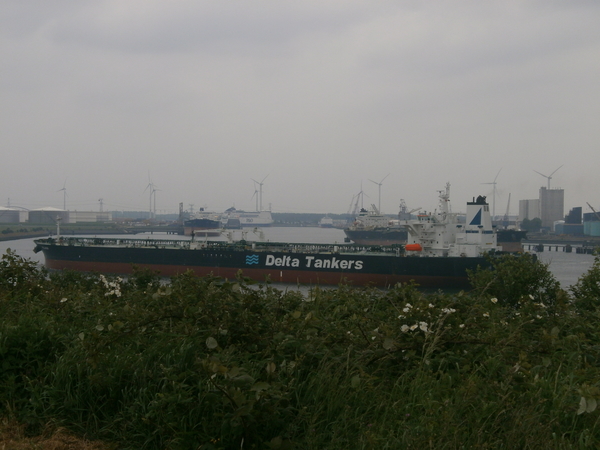 P5290016