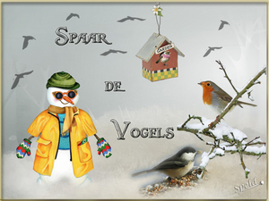 wintervogels