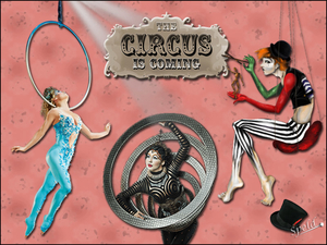 Circus