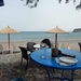19 cafe amnesia,Kato Zakros