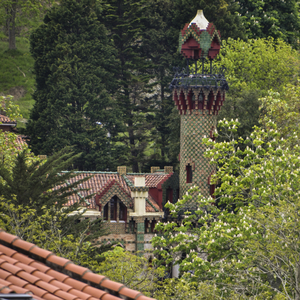 naamloos (50 van 69)