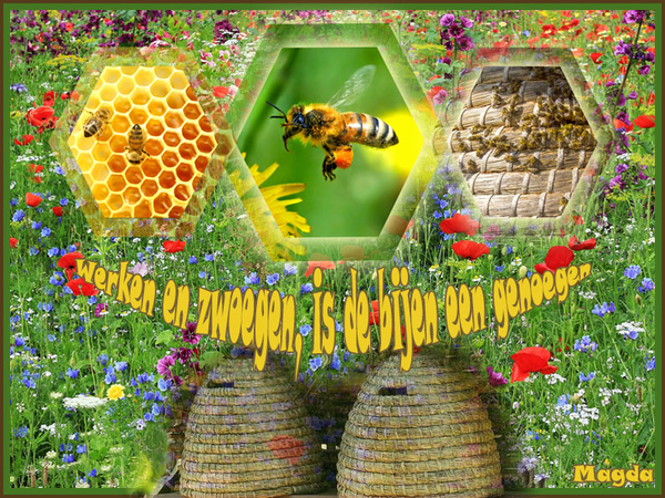 Adgamsobeilo project 39.1