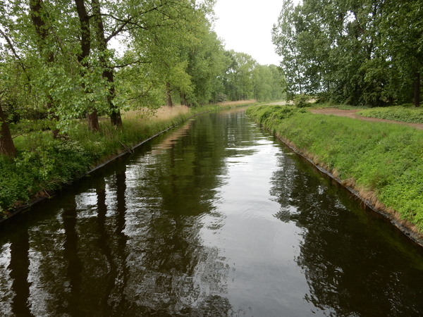 DSCN2186