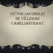 Victor Jacobslei, De Villegas, Cameliastraat.