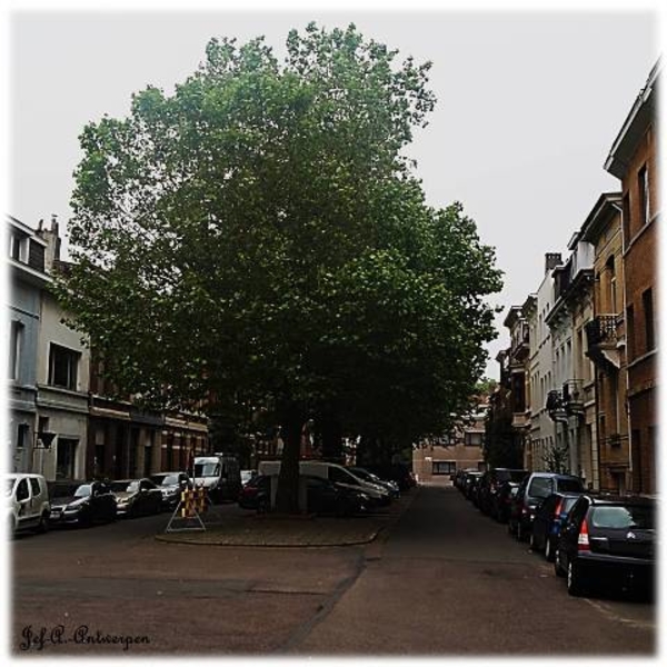 Antwerpen, Berchem, De Villegas,