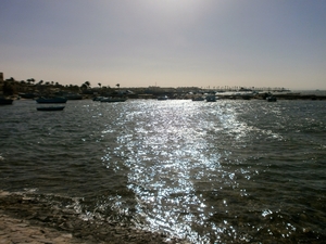 P6060013