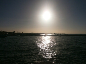 P6060021