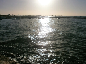 P6060022