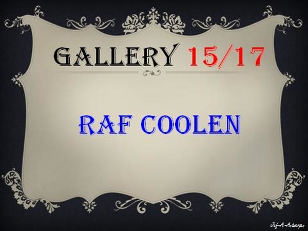 Antwerpen, Vernisagge, Gallery 15/17, Raf Coolen,