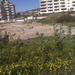43 7 feb 09 Archeologische opgravingen te Calpe