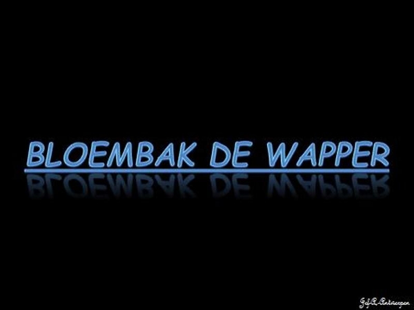 Bloembak de Wapper.