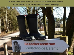 DE LIEREMAN (GS)