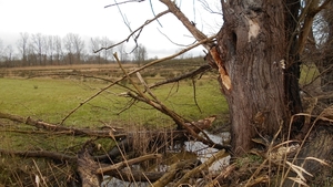 DSCN0397