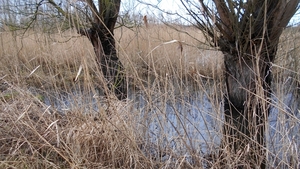 DSCN0404