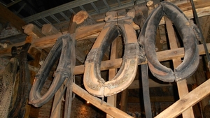 DSCN0429